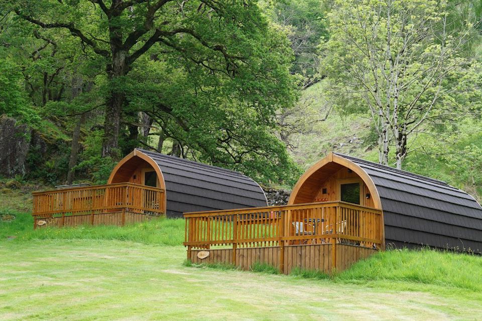 Two pods on decking under the trees