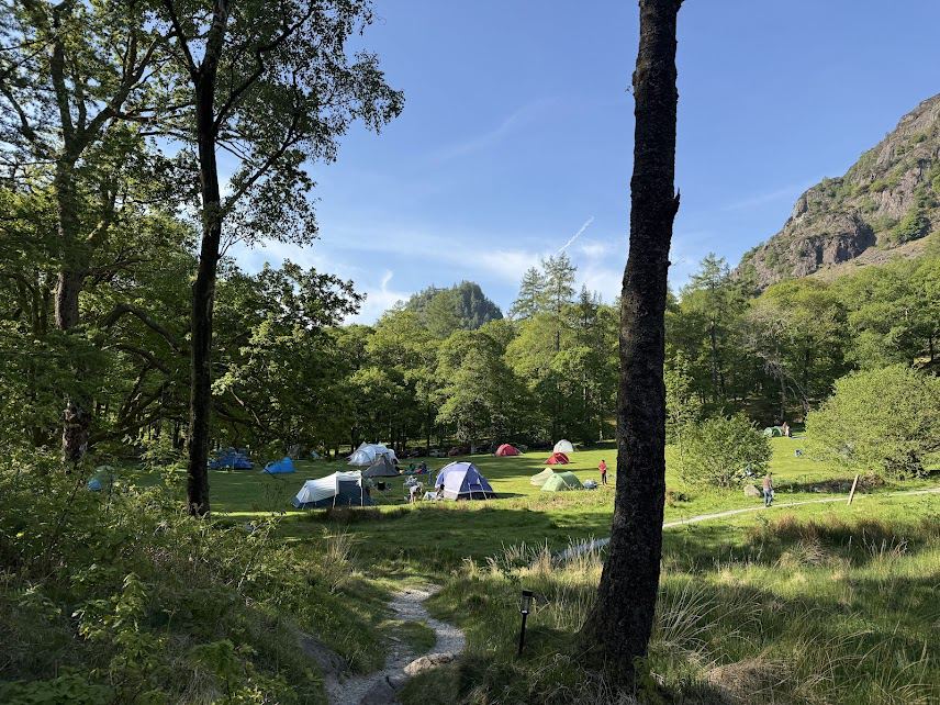 Tents among the trees