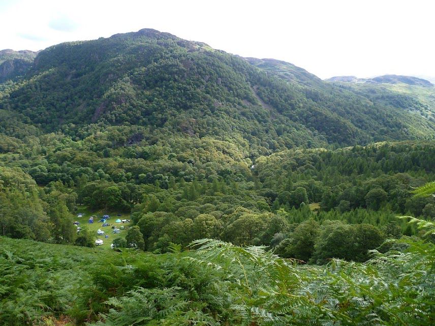 Wooded valley below the fells