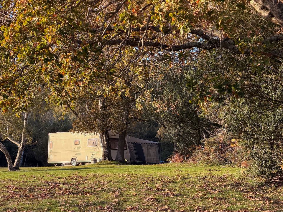 Caravan on grass under trees
