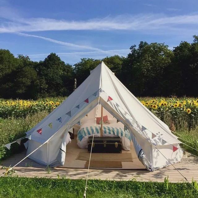 Bell tent by a sunflower field