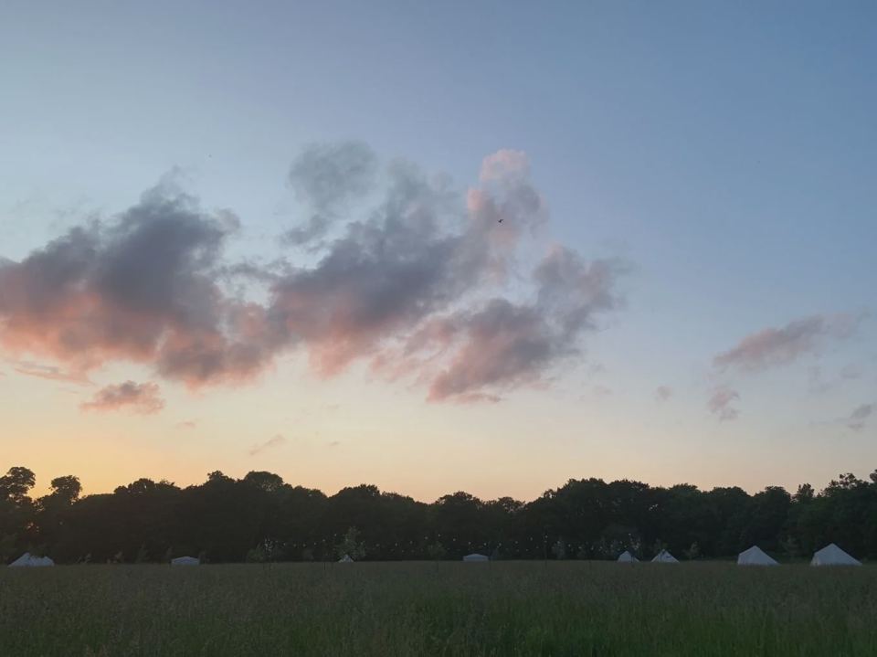 Evening over the meadow