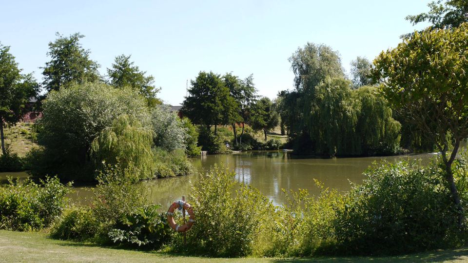 Fishing lake through the trees