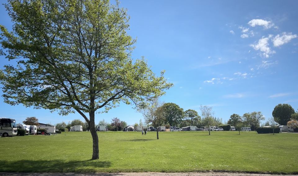 Open grass pitches