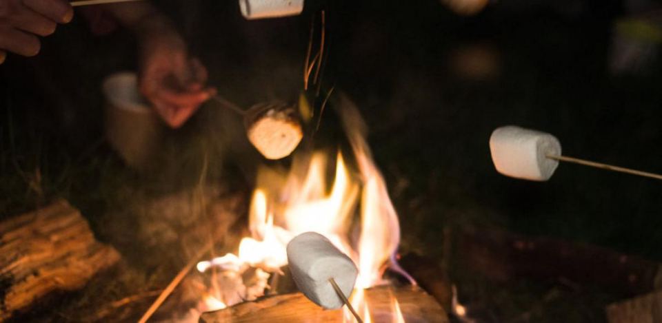 Toasting marshmallows on the fire