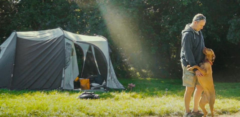 Tent and dog on grass