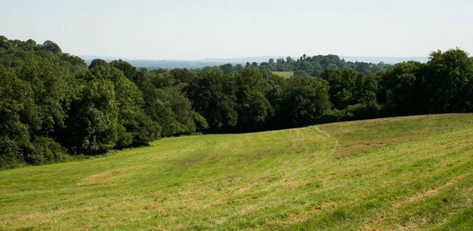 Mown field with Weald views