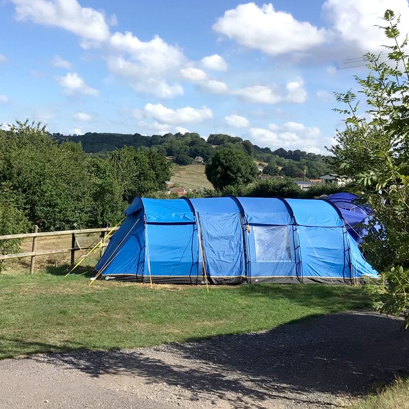 Tent pitch on the grass