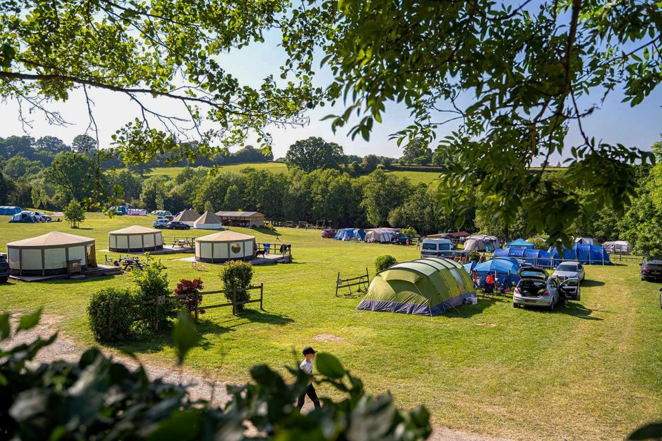 Pitches and yurts across the field