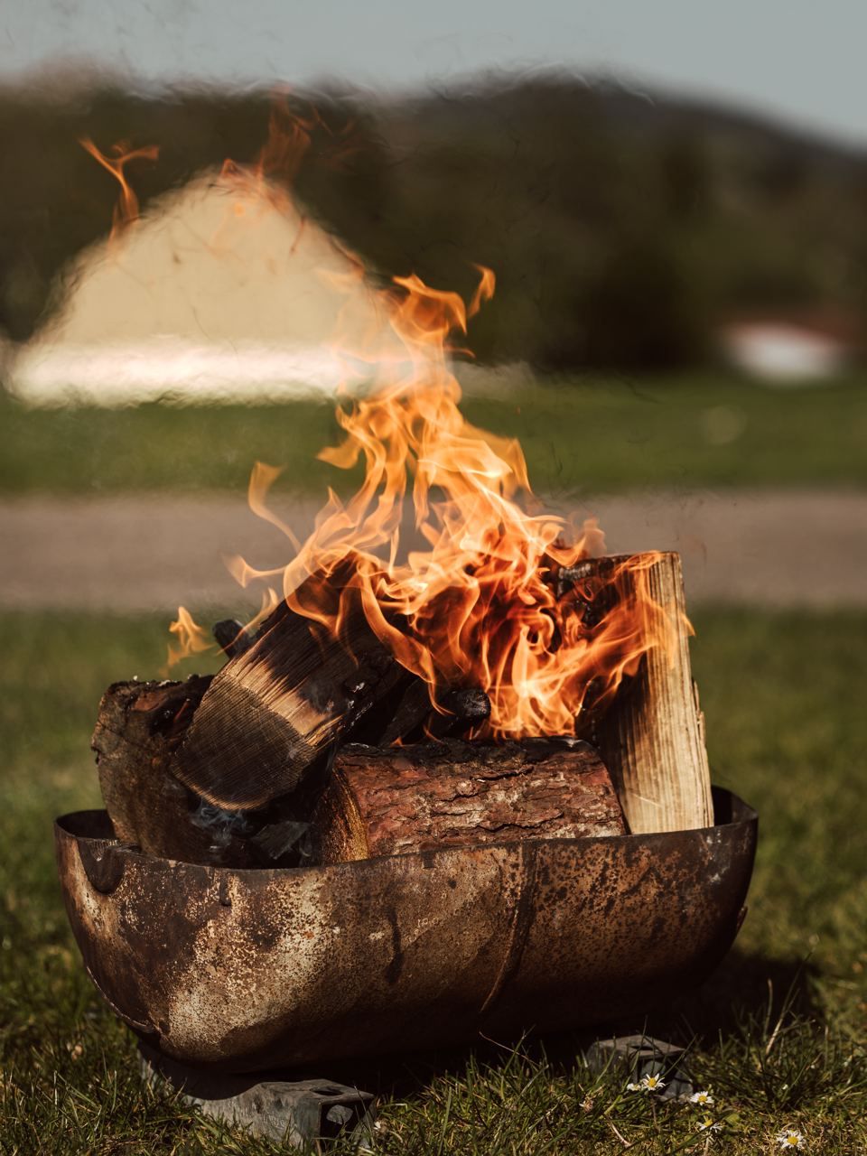 Log fire in a fire bowl