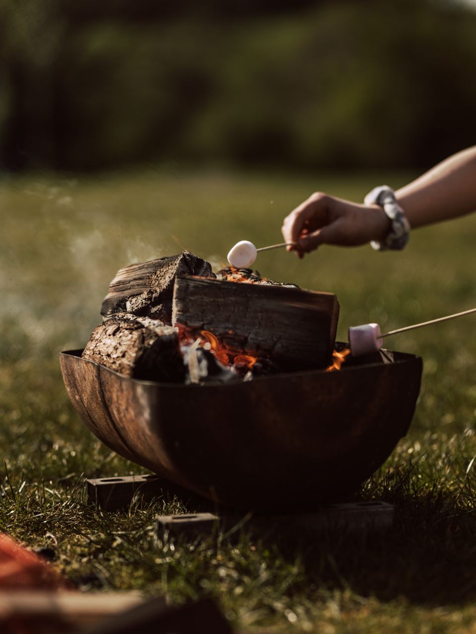 Marshmallows over a fire bowl