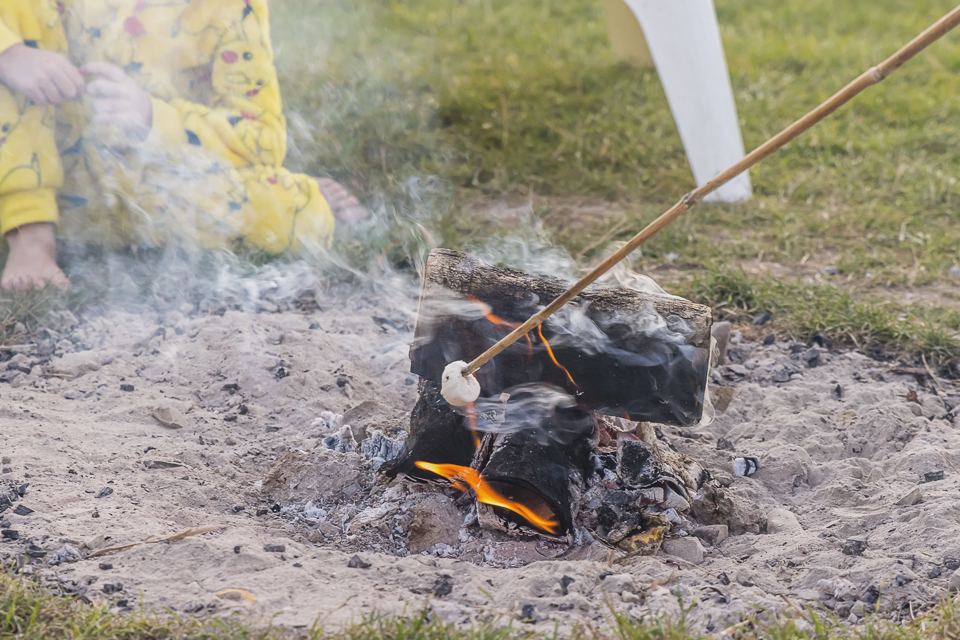 Toasting marshmallows on the fire