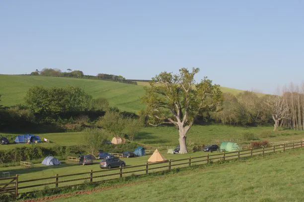 Tent pitches across the field