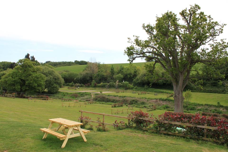 Picnic table beside an oak