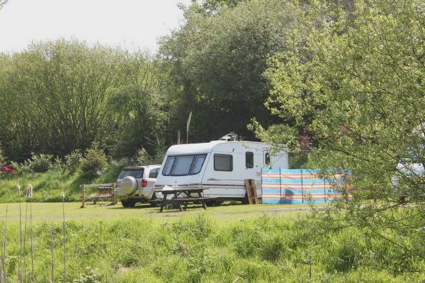 Caravan pitch among willows