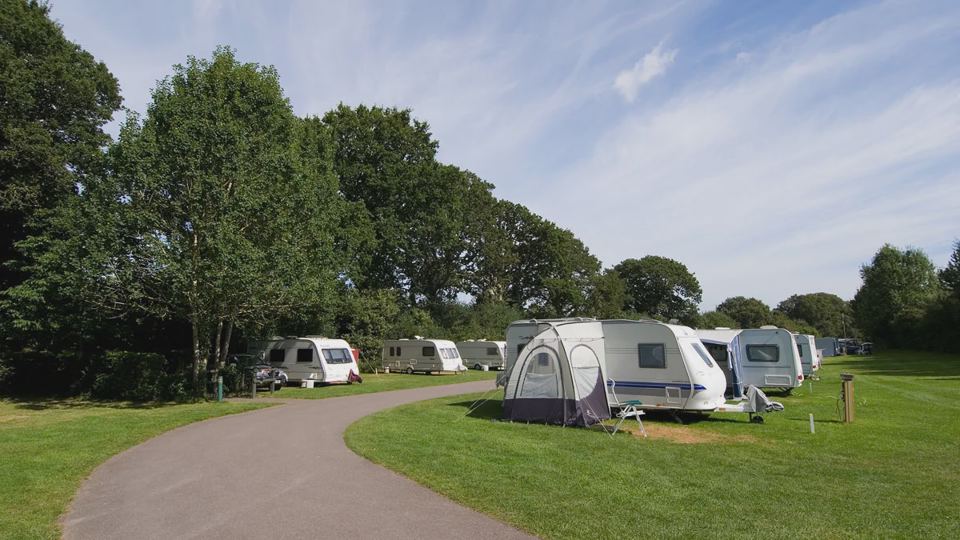 Grass pitches beside the drive
