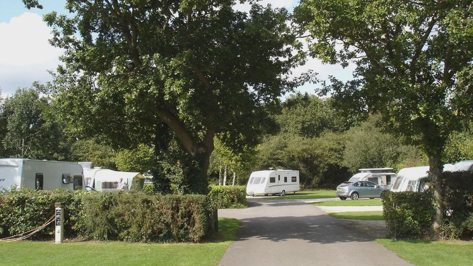 Pitches among the trees