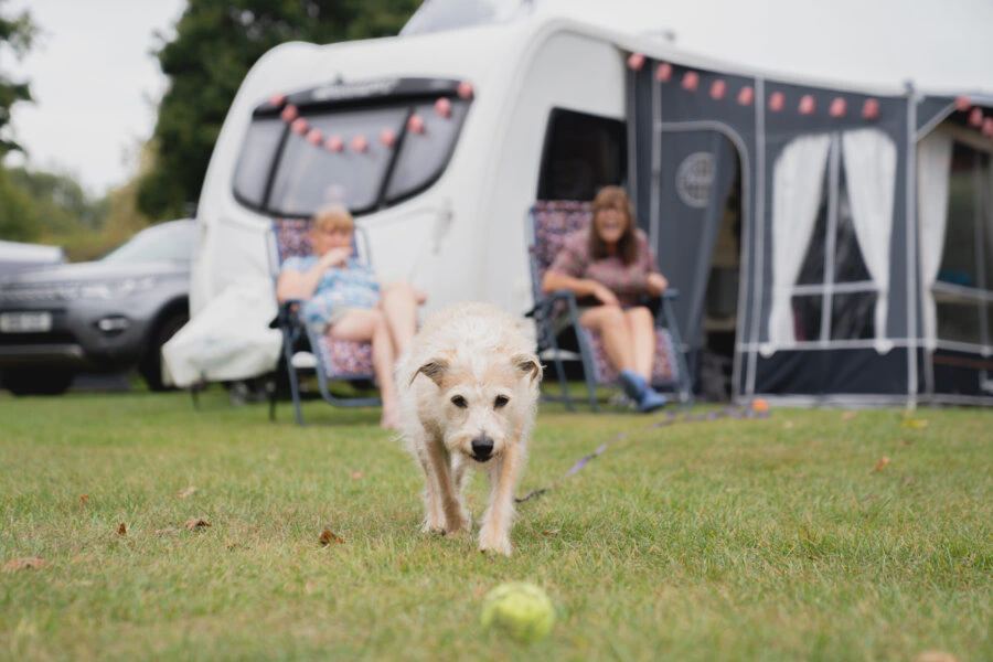 Caravan with awning and dog