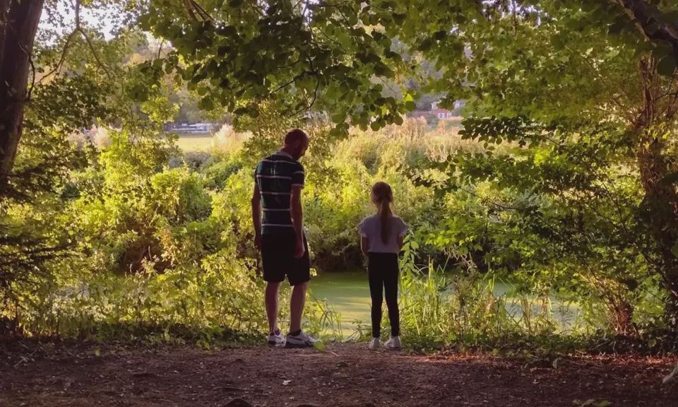 Woodland by the river