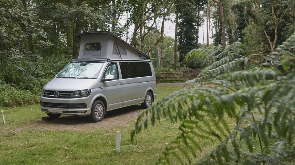 Campervan on a wooded pitch