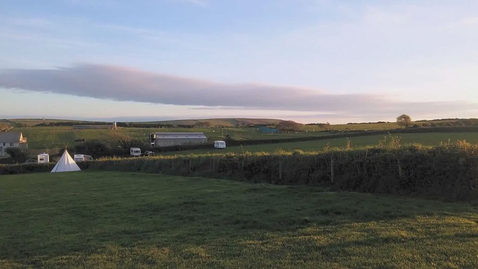 Quiet field at dusk