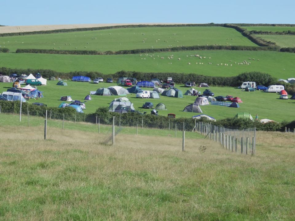 Tents in the camping field