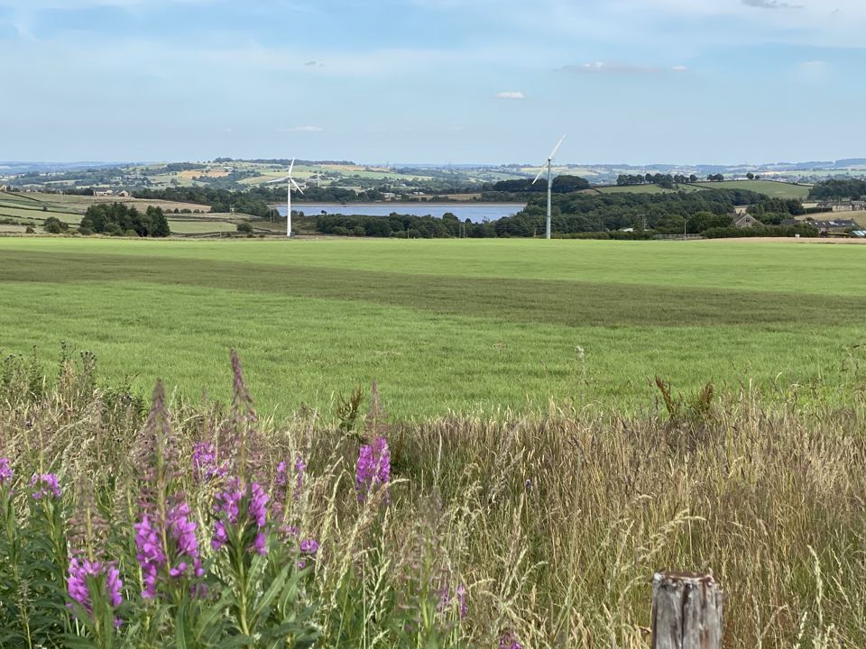 Field with reservoir beyond