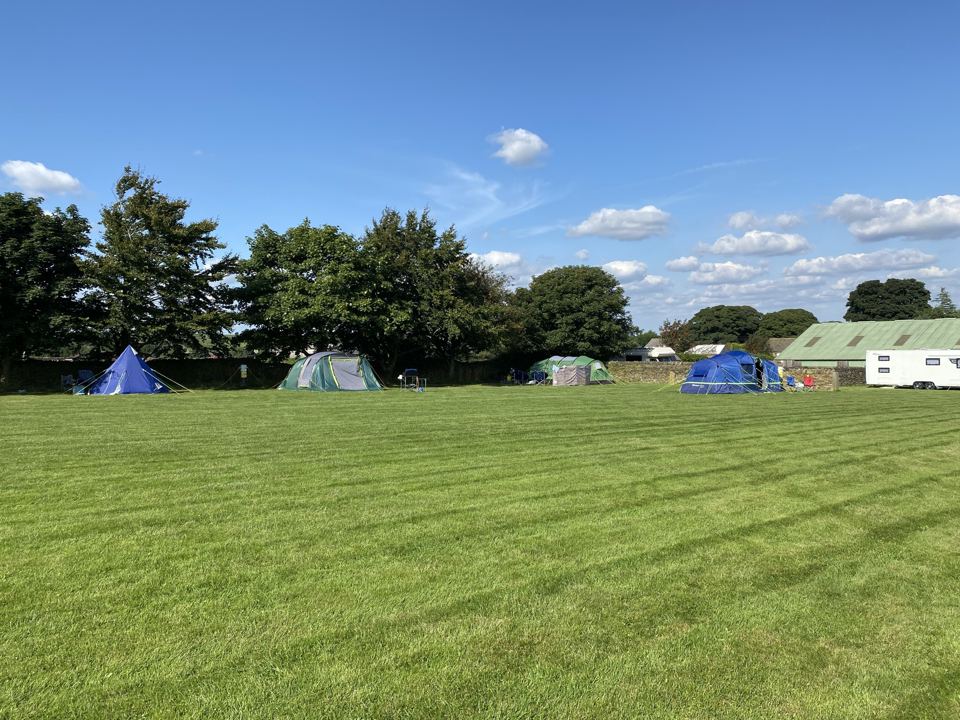 Mown field with tents