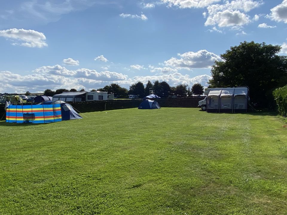 Grass pitches on the field