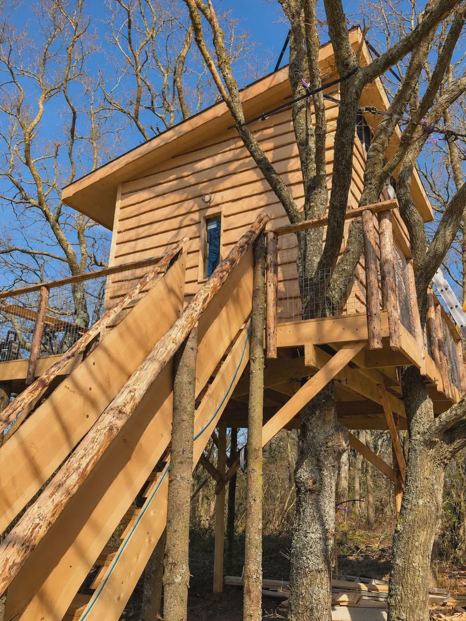 Treehouse stairs in the oaks