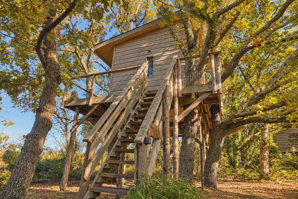 Treehouse in autumn