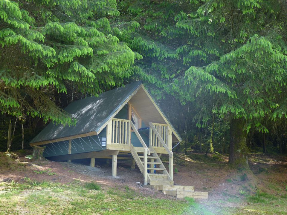 Timber tent in the trees