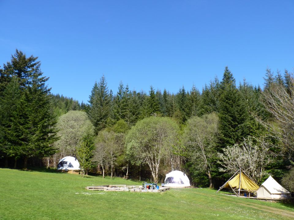 Glamping tents at the field edge