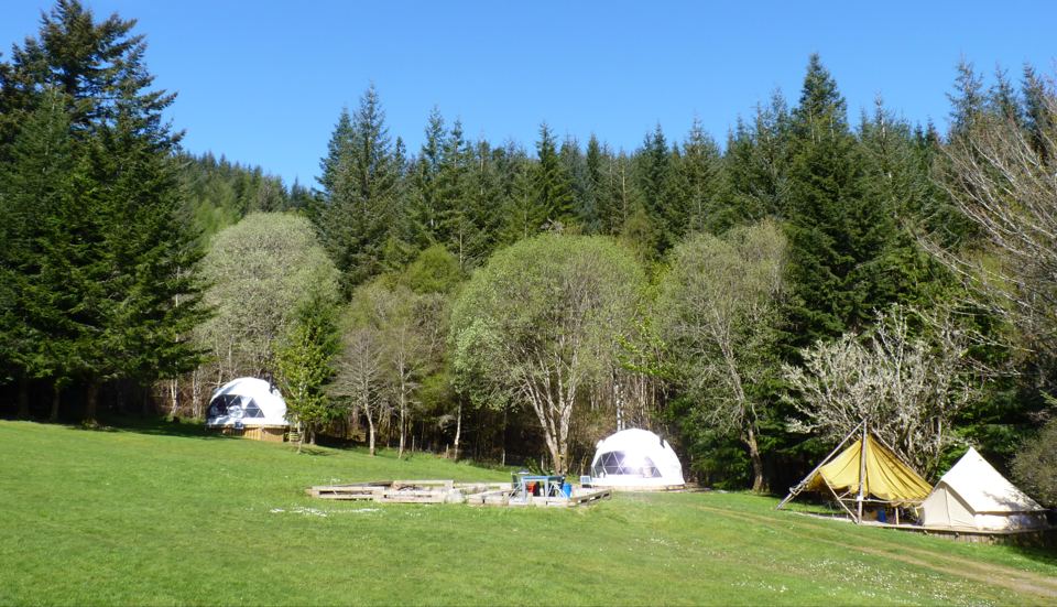 Glamping units across the meadow