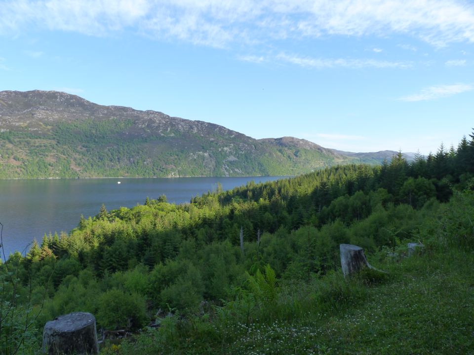 Loch Ness through the forest