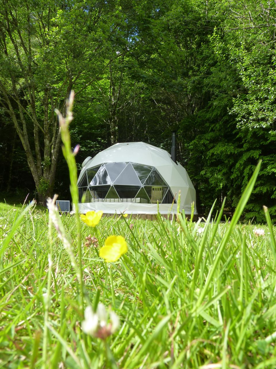 Geodome in long grass