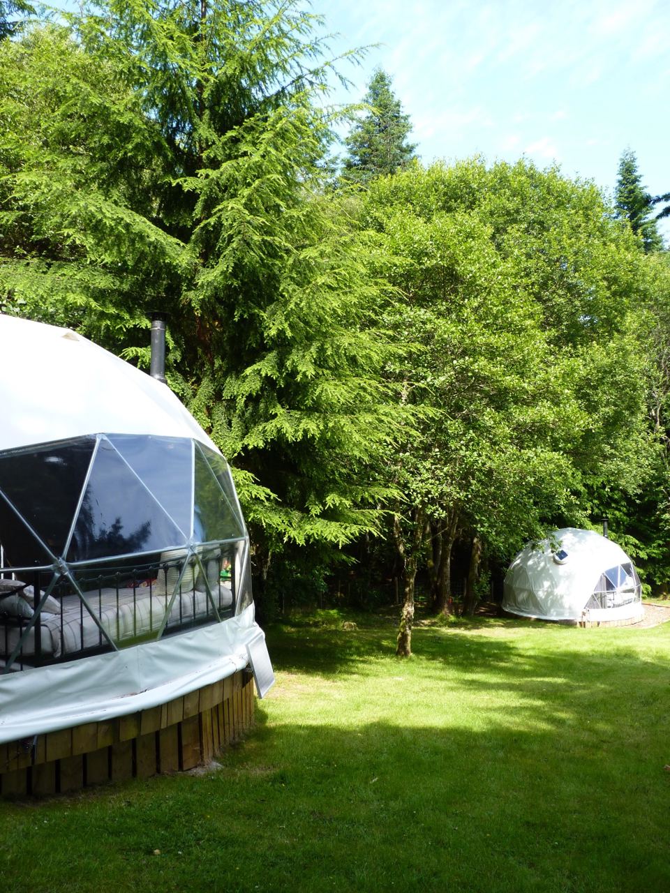 Geodome among the trees