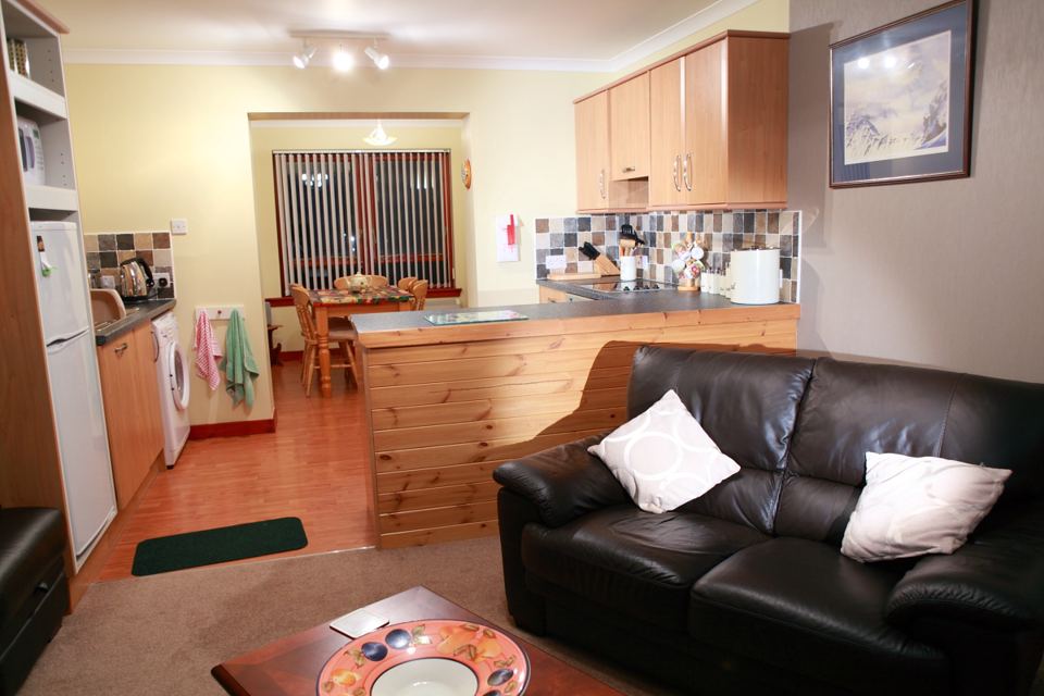 Open-plan kitchen and lounge