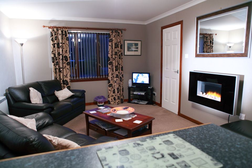 Living room with electric fire