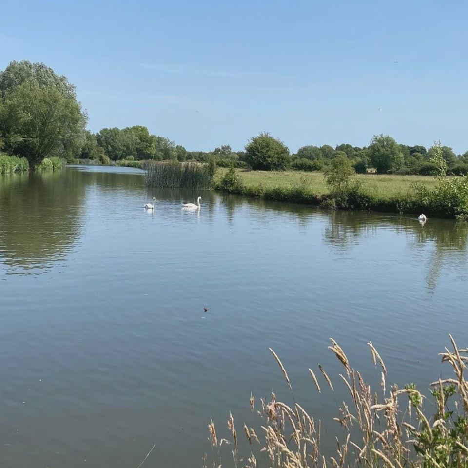 The Thames beside the site