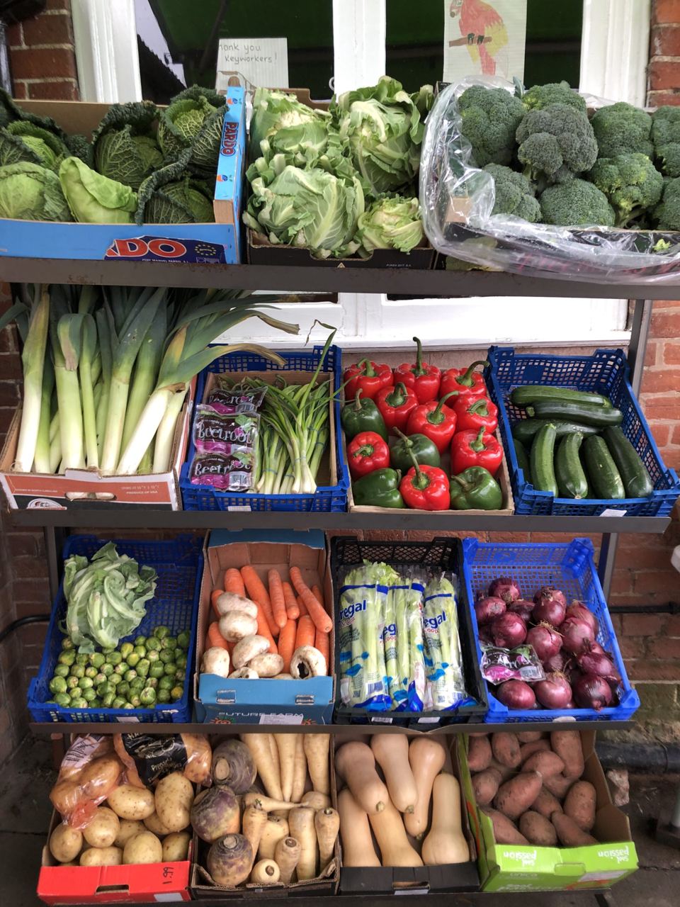 Fresh vegetables in the shop