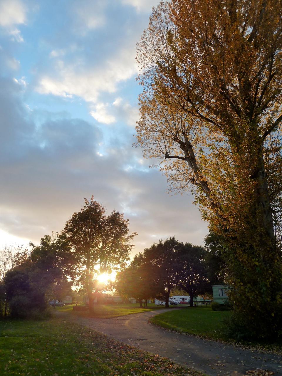 Evening light over the park