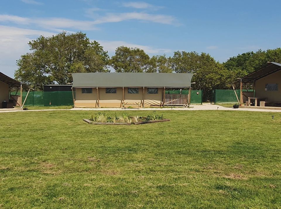 Safari tents around the lawn