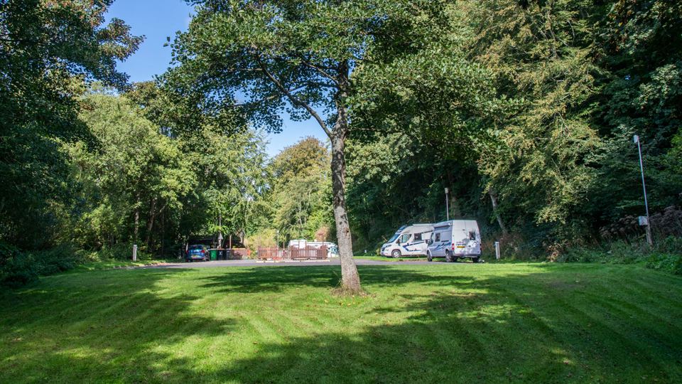 Mown grass pitches under trees