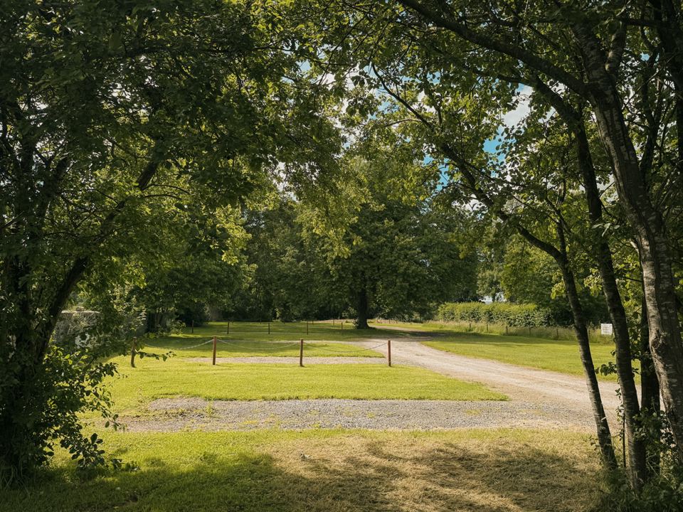 Pitch among the trees