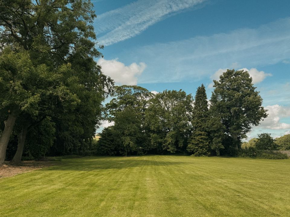 Mown grass in the walled orchard