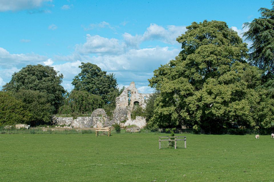Abbey ruins across the field