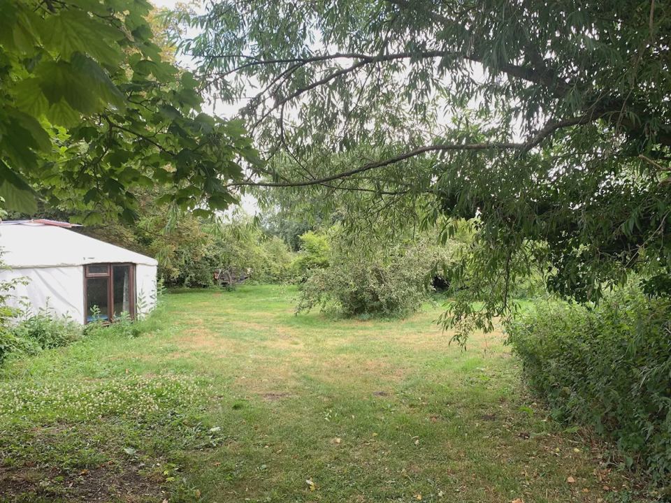 Yurt at the edge of the meadow