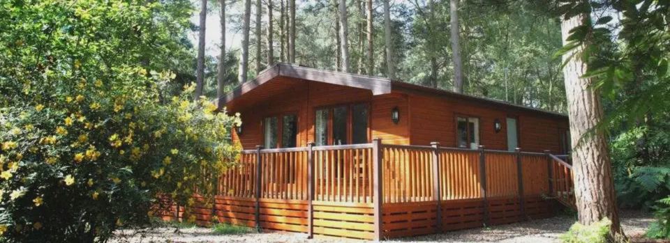 Lodge among the trees