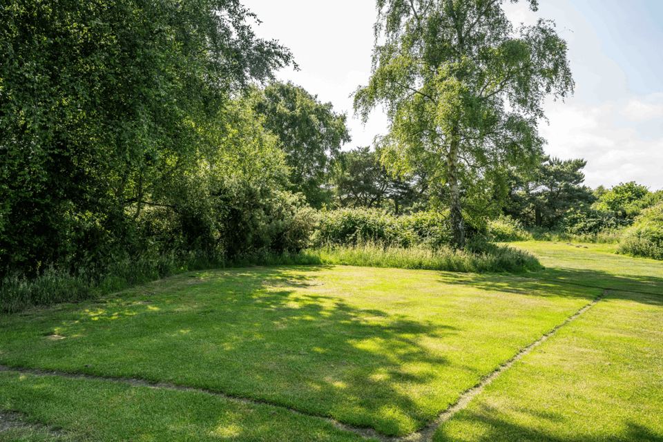 Open grass pitch among trees